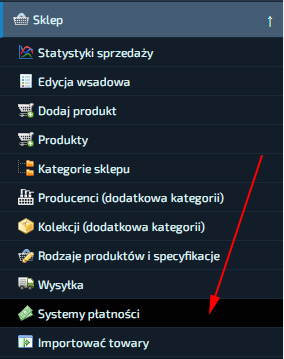 Płatność online